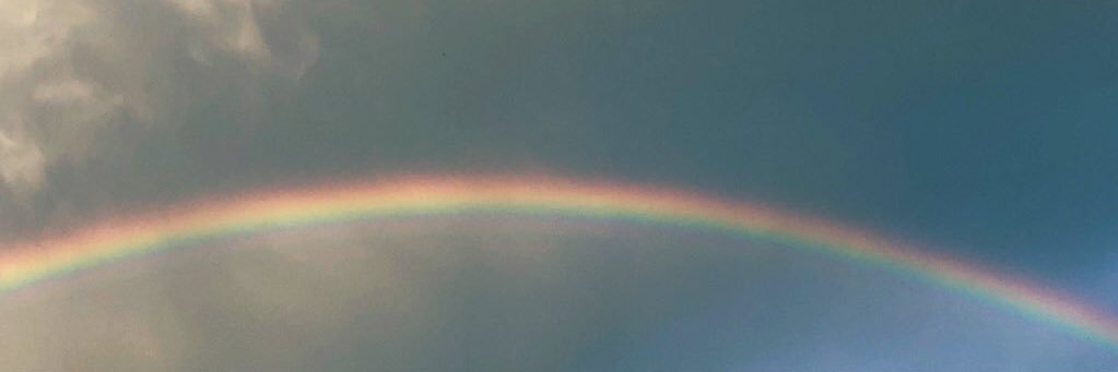 n_221's profile banner image