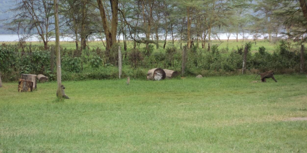 PhillipMusili's profile banner image