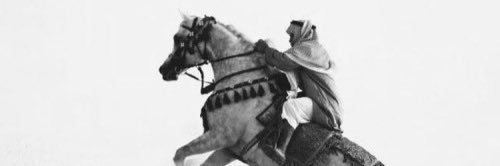 A_ALSHUAIB8's profile banner image