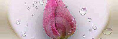 muhammadtaher87's profile banner image