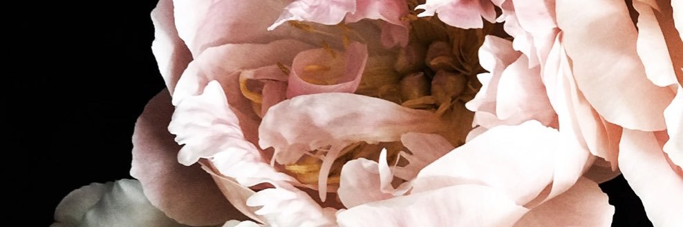 Lavanya Viswanathan MD, MS, FACG, FACP banner