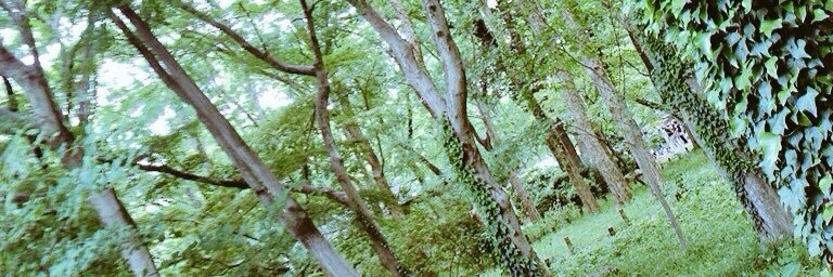 sansui446's profile banner image