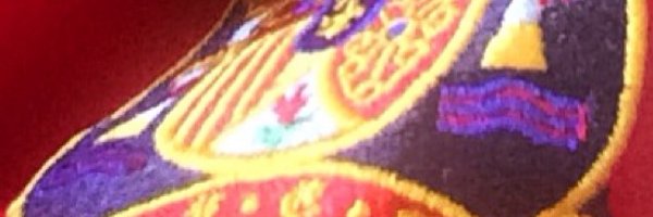 ancris19 Profile Banner