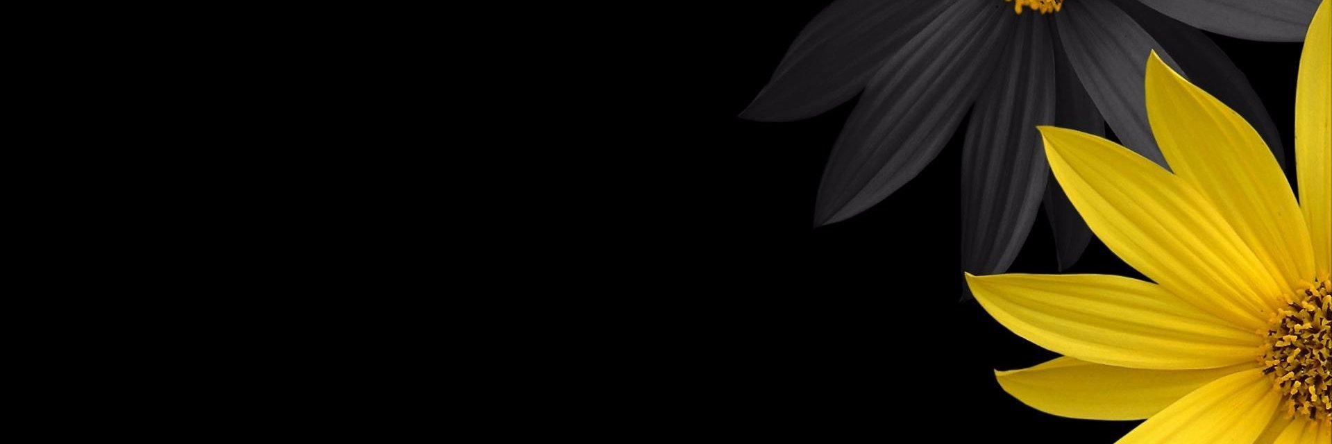 KrystalsVanity's profile banner image