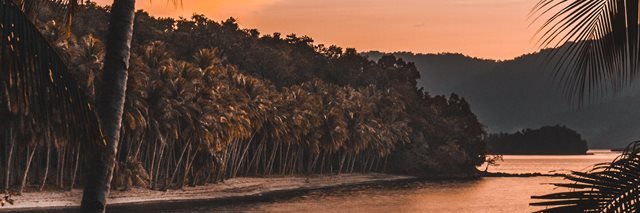 Eli96z's profile banner image