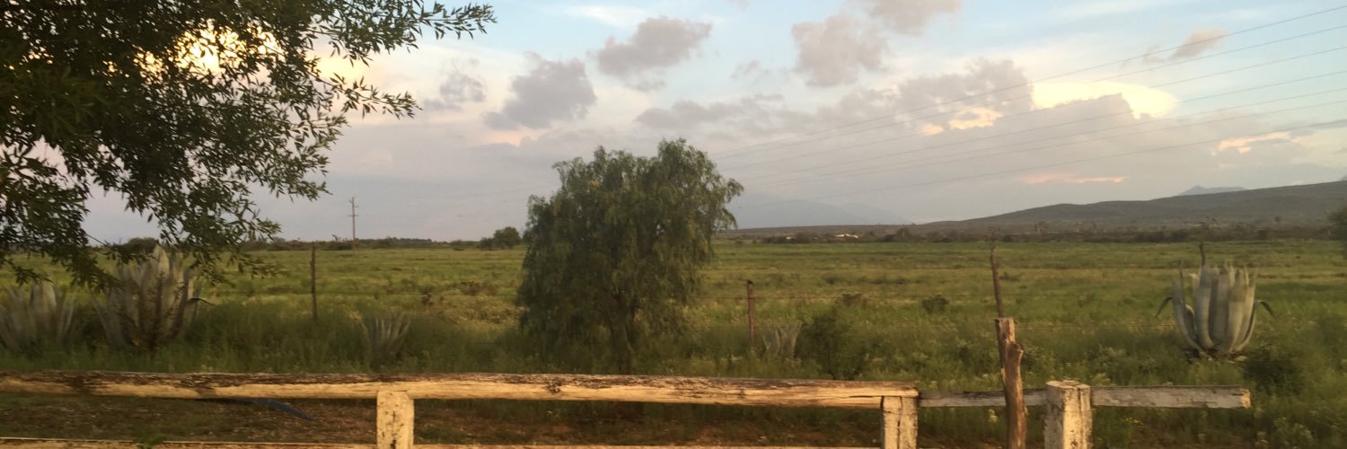 LMaedas's profile banner image