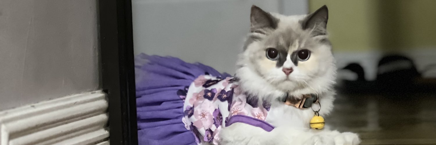 ailaampie's profile banner image