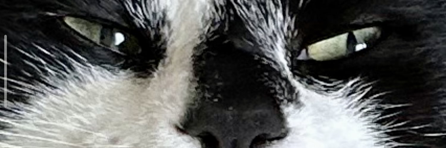 westforest_ham's profile banner image