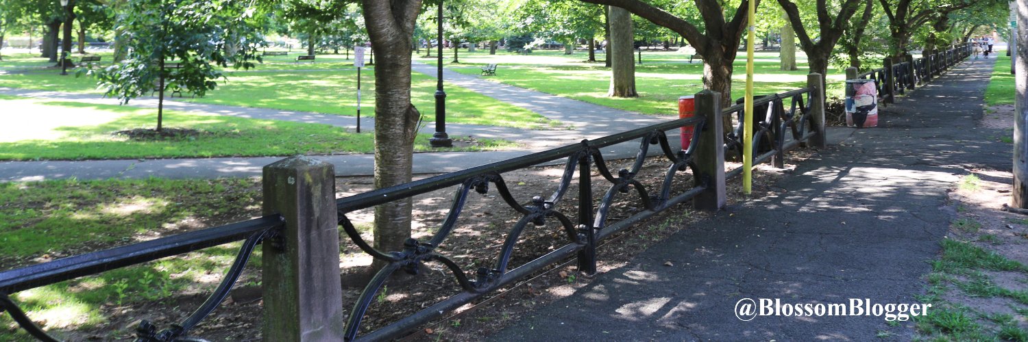 Bart Connors Szczarba banner