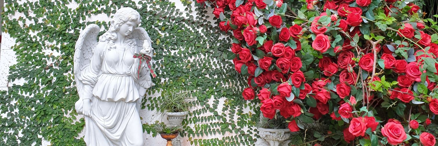 bea_auh's profile banner image