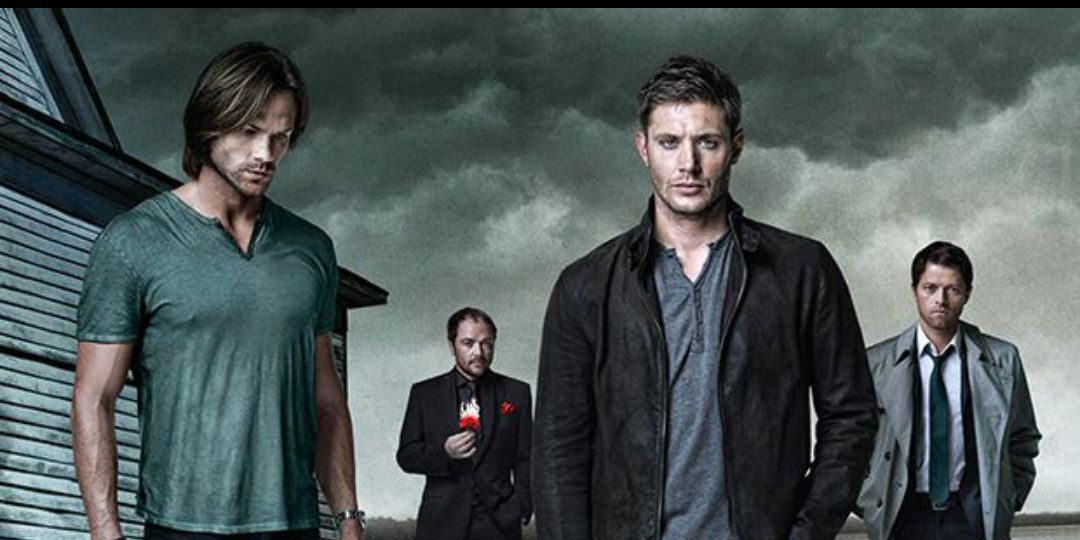 madagastargreen's profile banner image