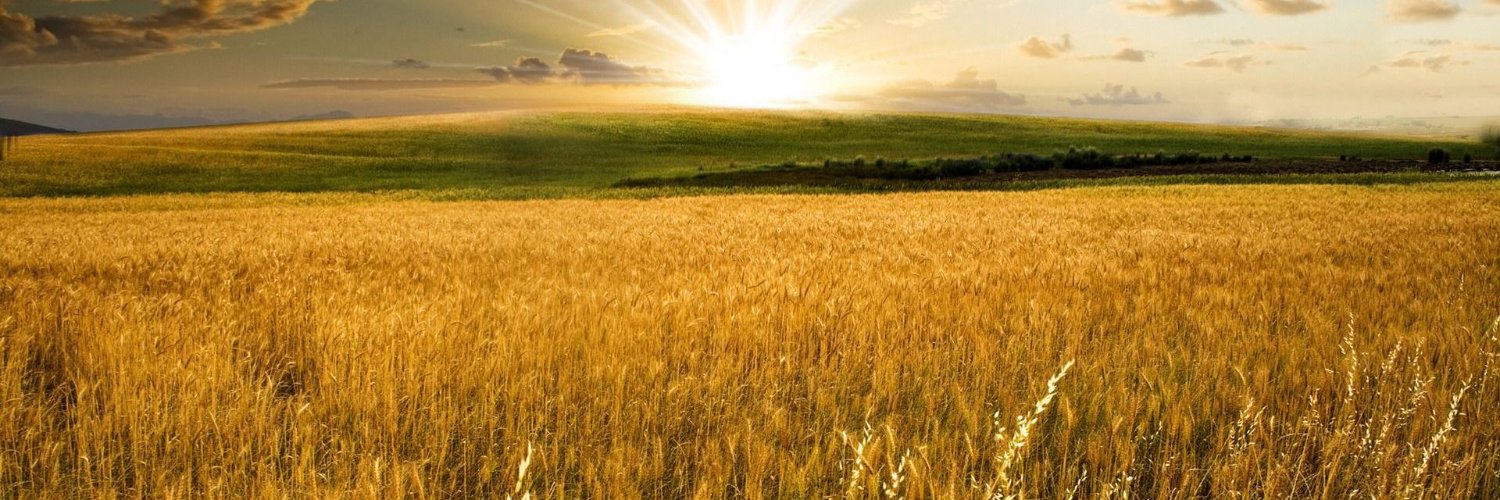 Spence Byer banner
