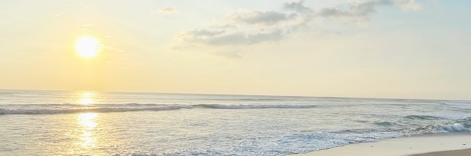 naomiofl's profile banner image
