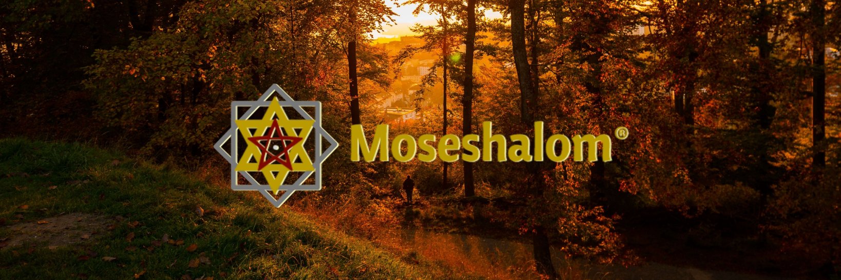 moseshalom's profile banner image