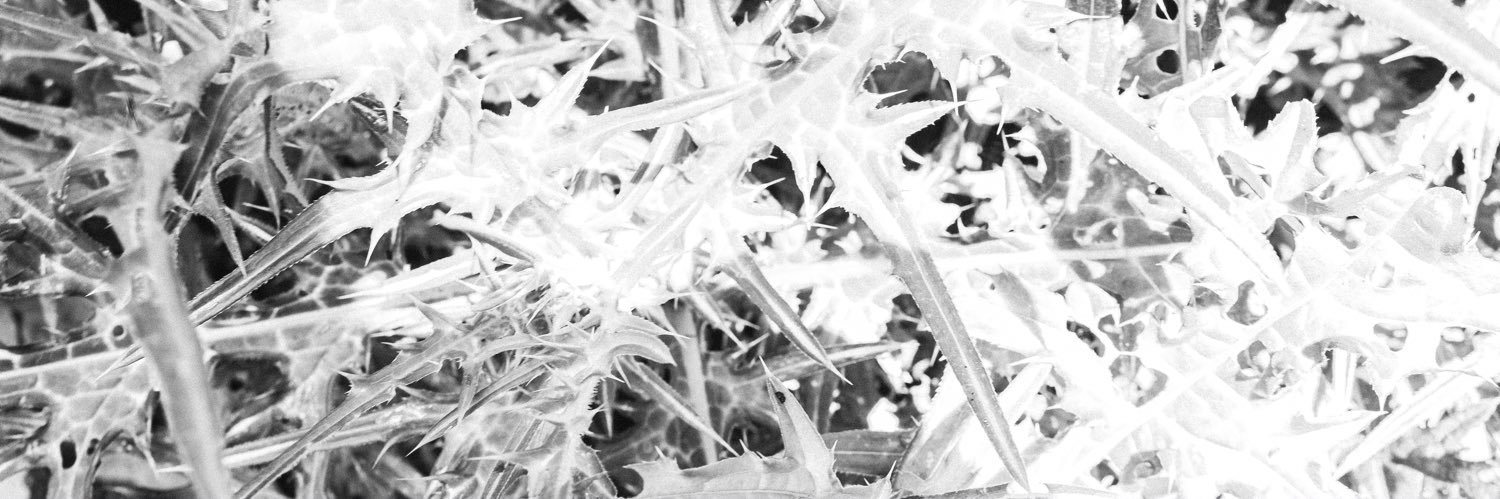 CB_0720's profile banner image
