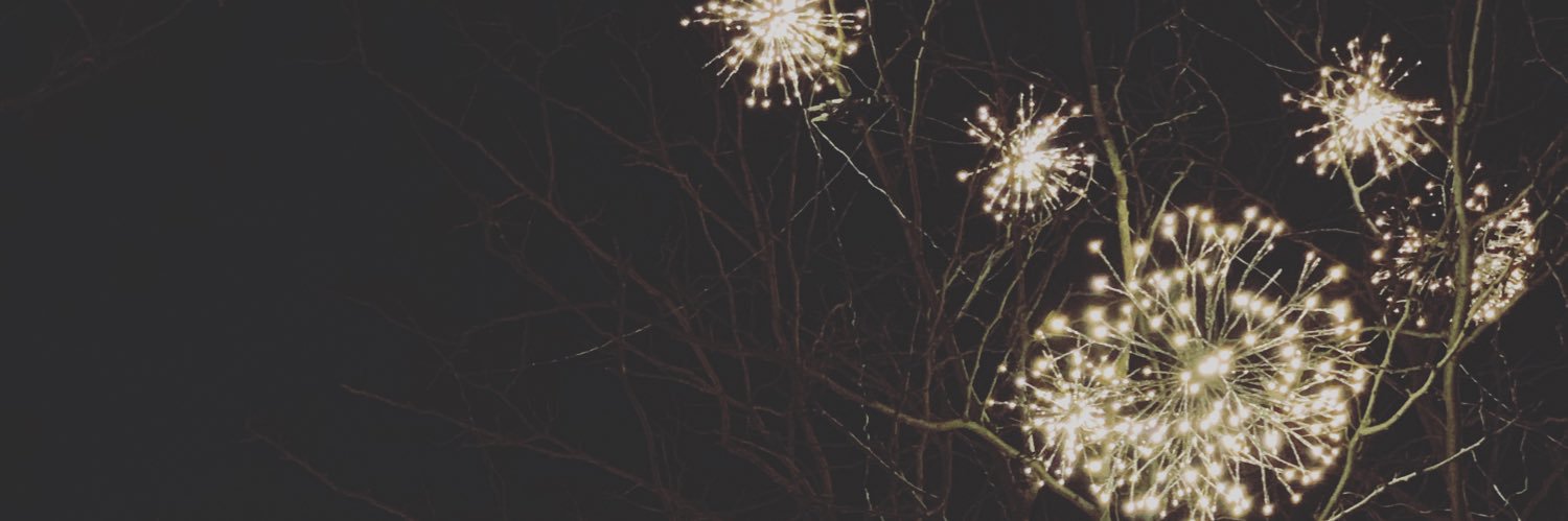 RickyOchoa13's profile banner image