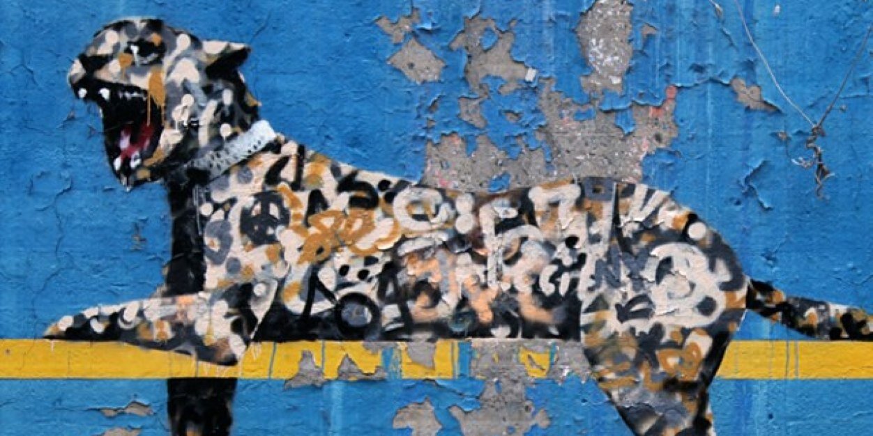 DarcyShank's profile banner image