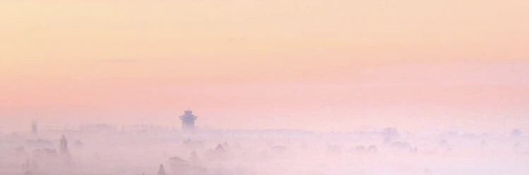 dearjam's profile banner image