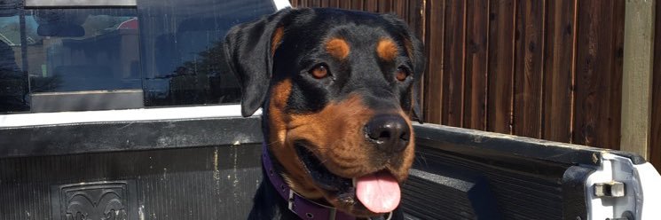 JakeDangerG's profile banner image