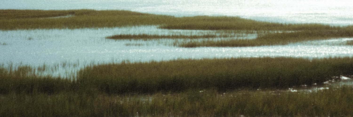 McKennaHurcomb's profile banner image