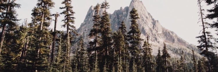 brittanywatsonx's profile banner image