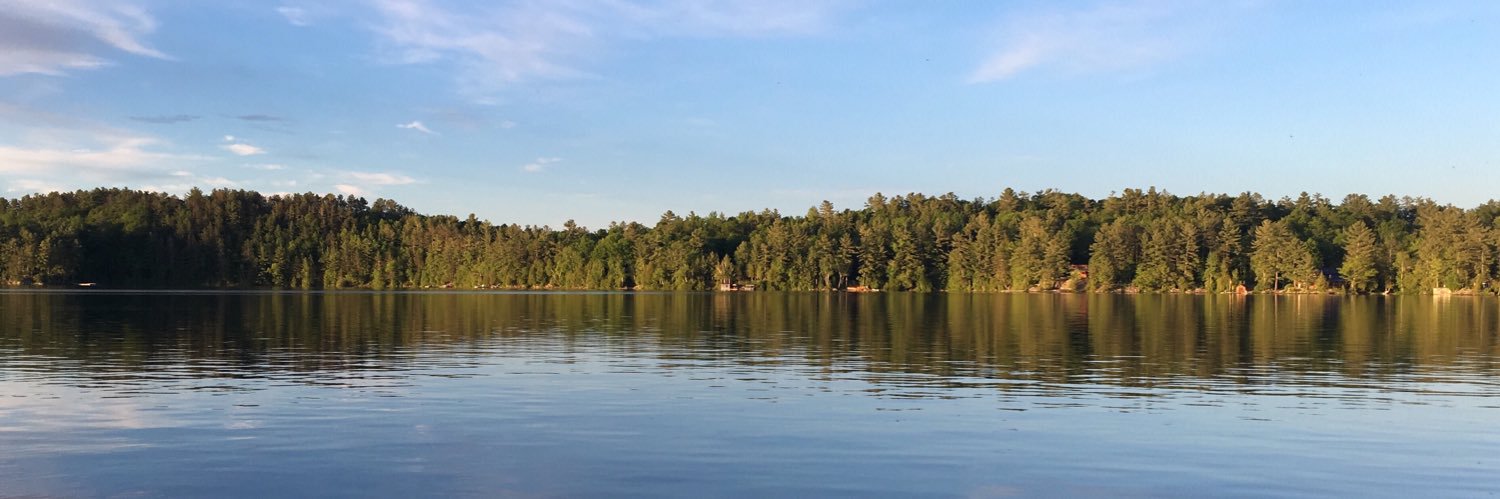 melgravy's profile banner image
