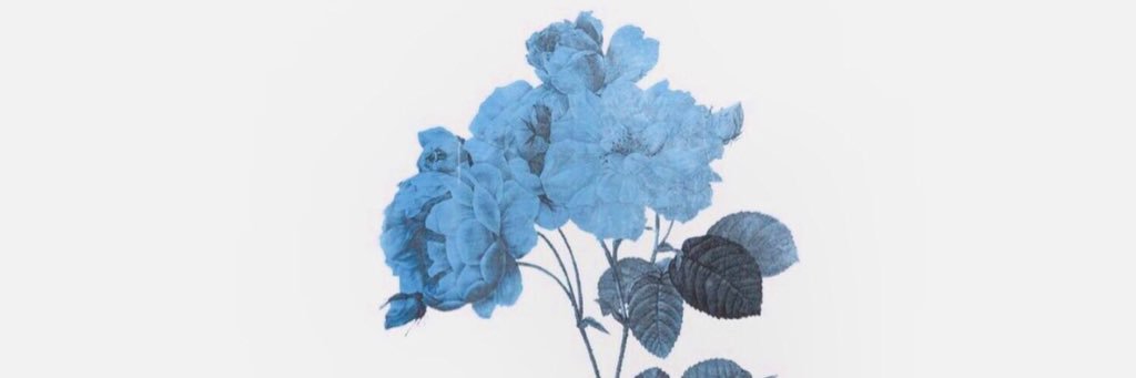 _Petaloid_'s profile banner image
