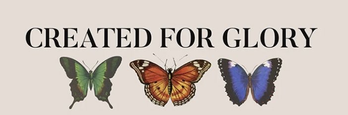 Sie✨ banner
