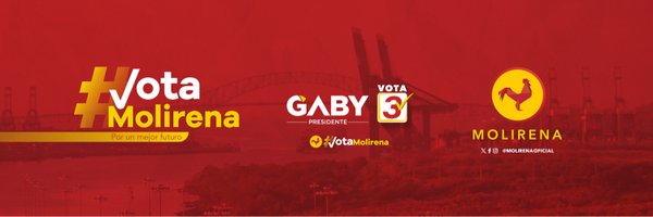 Partido Molirena Profile Banner