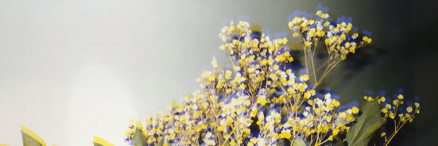 xerisly's profile banner image