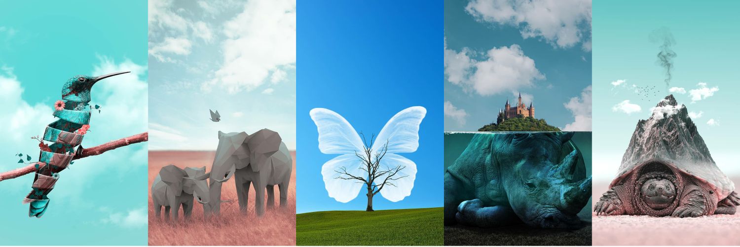 ikcreations's profile banner image