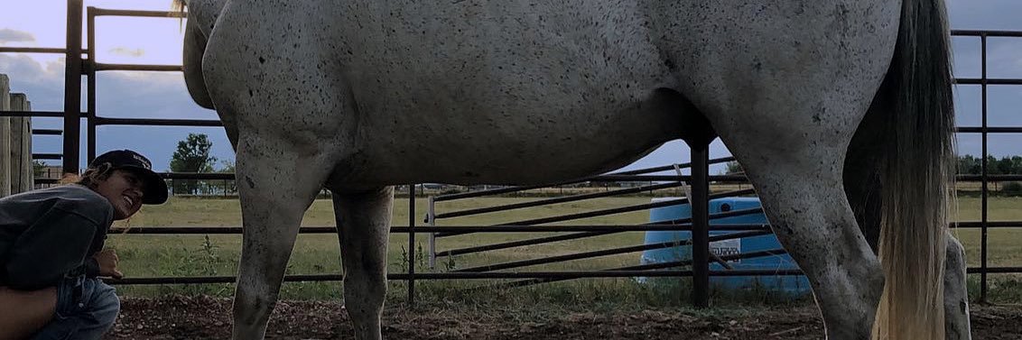 emmanderson6's profile banner image