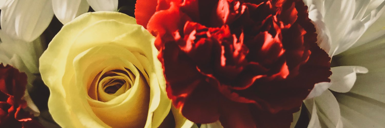 Megzzzlynn's profile banner image