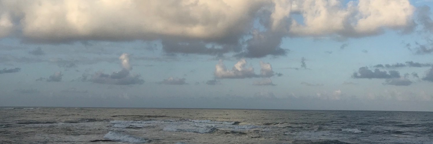 SyncereNewman's profile banner image
