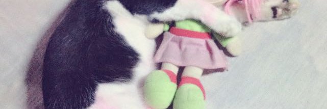 MazuMiah's profile banner image