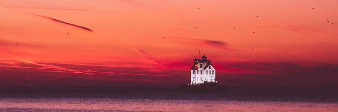 Lilly_Dirusso's profile banner image