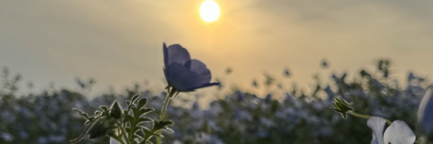 SAKYOUcos's profile banner image
