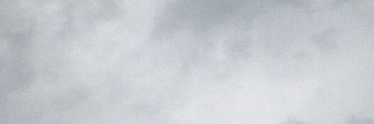 刘, CHESTER. banner