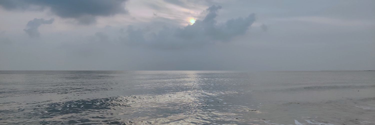 NiftyNinjaa's profile banner image