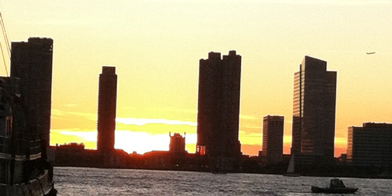 Felicia Balzano banner