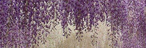 ErikaMorphy's profile banner image