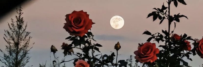 dezzyrae14's profile banner image