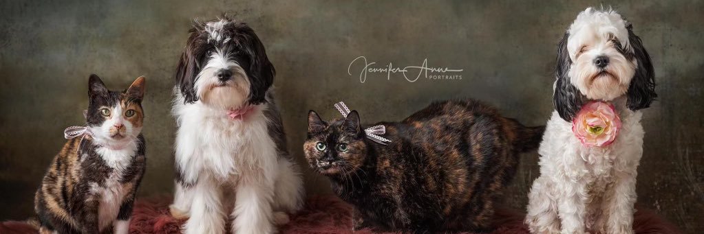JustLeslieCat's profile banner image