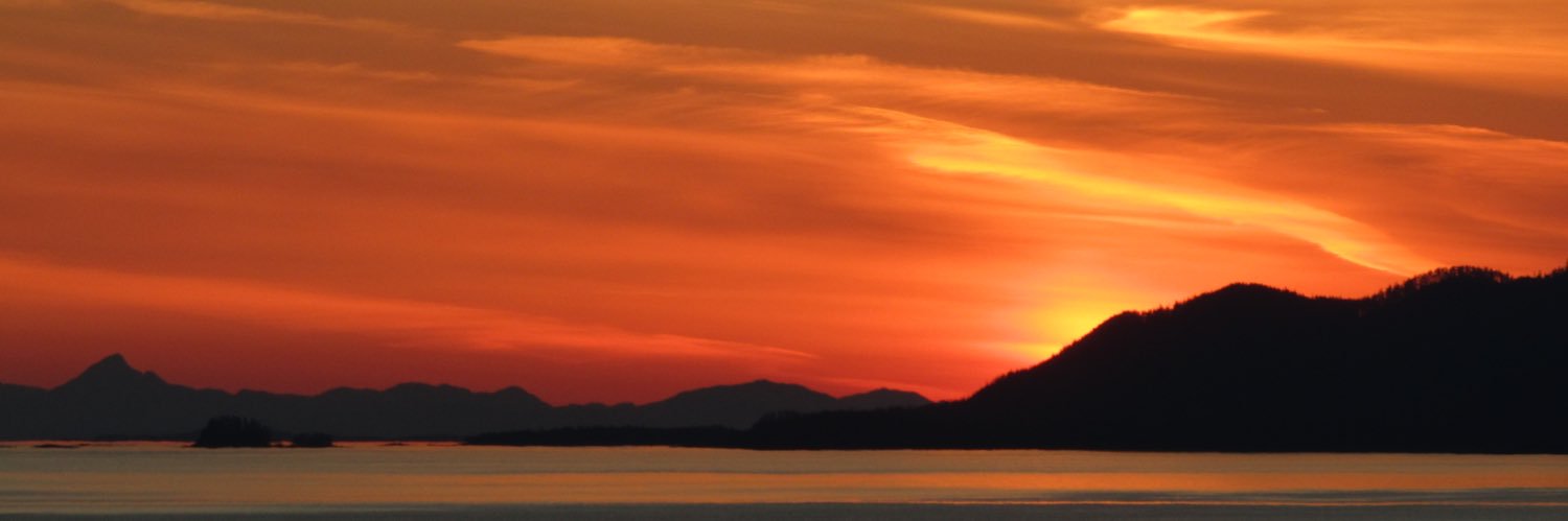 Jeff Hamilton banner