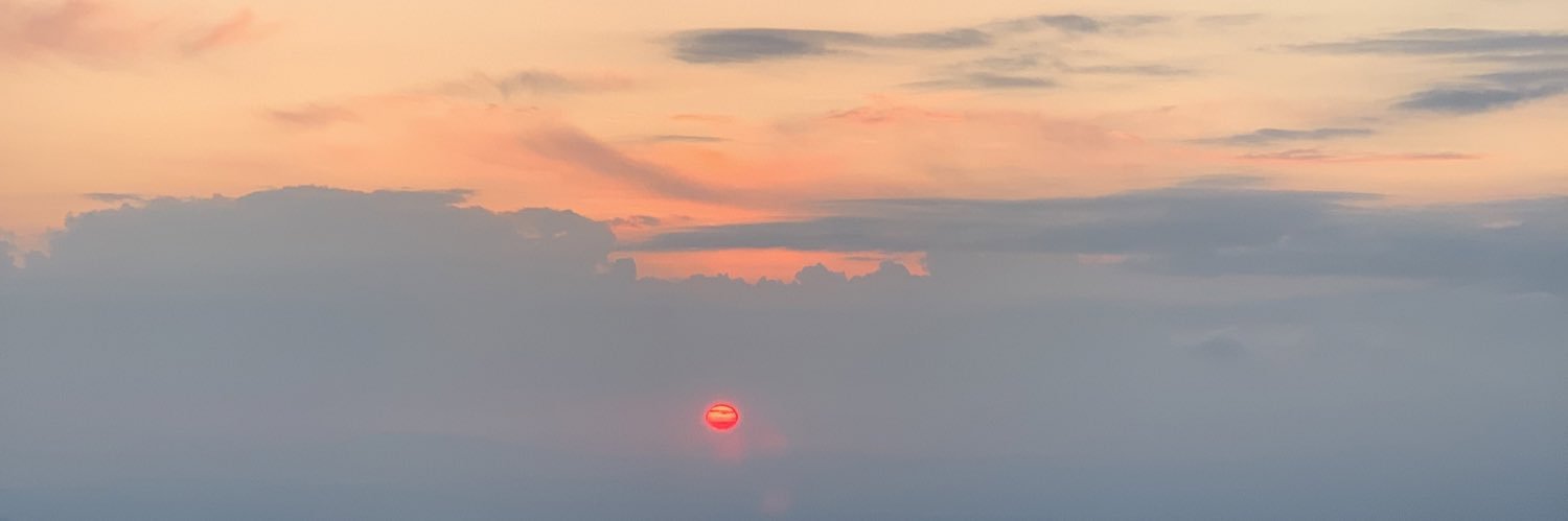 Griselda Flores banner