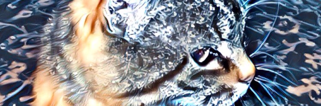 Aigantaigh's profile banner image