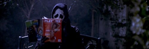 haley kathryn stout banner