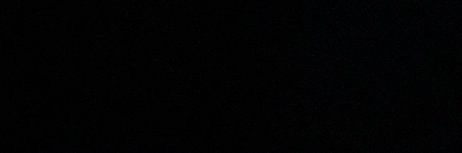 f0rskyfall's profile banner image