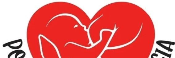 nathy_relajada's profile banner image