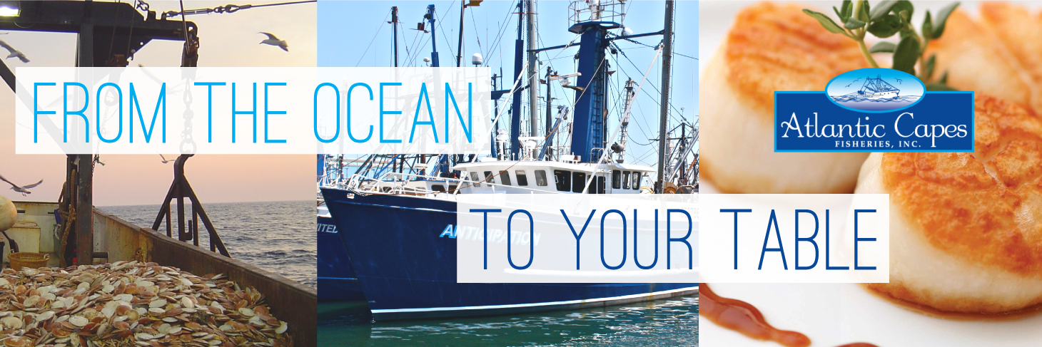 AtlanticCapes's profile banner image
